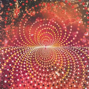 Meet your Posher, Heidi